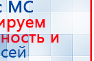 СКЭНАР-1-НТ (исполнение 01 VO) Скэнар Мастер купить в Минеральных Водах, Аппараты Скэнар купить в Минеральных Водах, Дэнас официальный сайт denasolm.ru